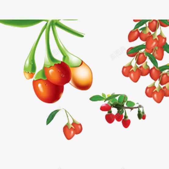 中國風枸杞 長壽文化與農產品的創意融合