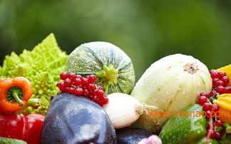 安全農(nóng)產(chǎn)品 生產(chǎn)、廠家與價(jià)格分析