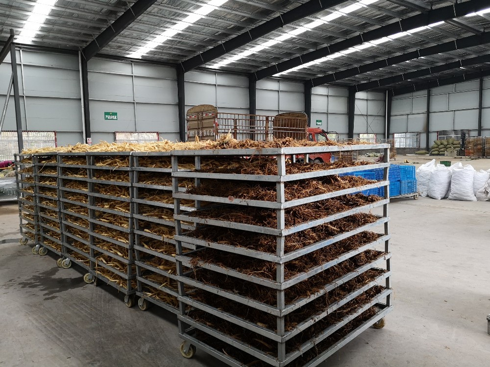 巴中凌云農產品加工廠與冷鏈物流集配中心 推動區域農業產業升級