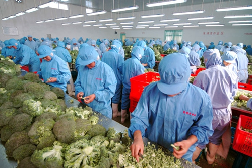 農(nóng)產(chǎn)品初加工機(jī)械補(bǔ)貼力度加大，助力農(nóng)業(yè)現(xiàn)代化發(fā)展