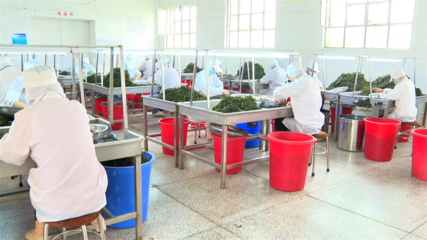 外貿(mào)經(jīng)濟(jì)穩(wěn)中有進(jìn) 農(nóng)產(chǎn)品出口持續(xù)增長(zhǎng)