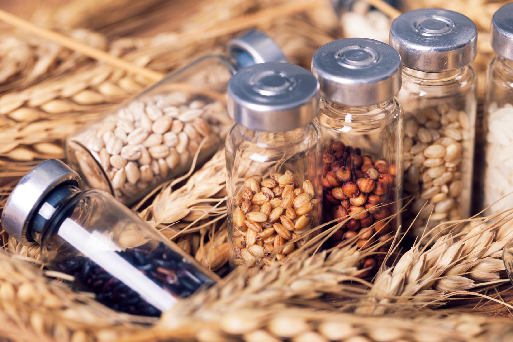 先行先試 構建農產品營銷服務體系，助力鄉村振興