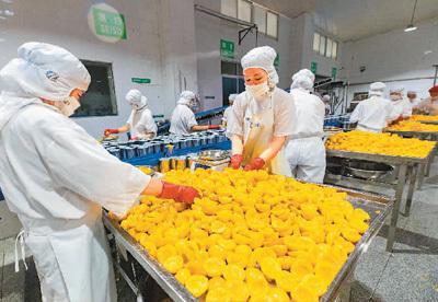 V型反轉！中國農業外貿展現強韌發展勢頭