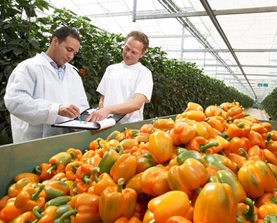 美日等國農產品冷鏈物流一體化模式的經驗與啟示