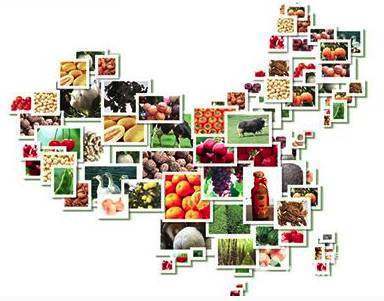 網紅爆款農產品如何誕生 從田間地頭到流量餐桌的打造之路