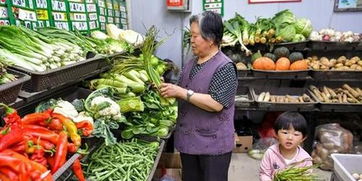 農(nóng)業(yè)農(nóng)村部 上半年農(nóng)產(chǎn)品質(zhì)量抽檢合格率達(dá)97.2%，筑牢食品安全防線(xiàn)